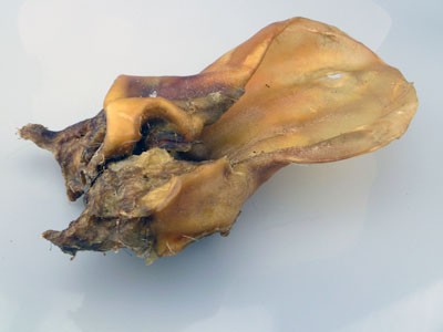 Rinderohren mit Muschel