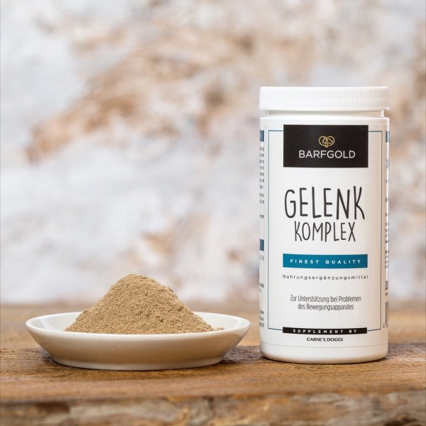 Gelenkkomplex