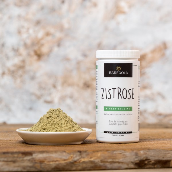 Zistrose